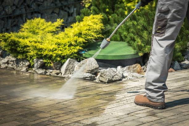 Best Pre-Holiday Cleaning  in Highland Park, NJ