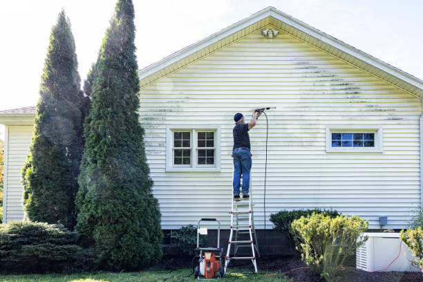 Best Roof Washing  in Highland Park, NJ